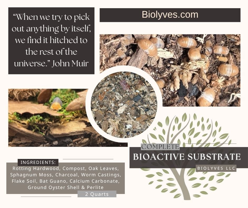 bioactive and isopod substrate | BIOLYVES LLC