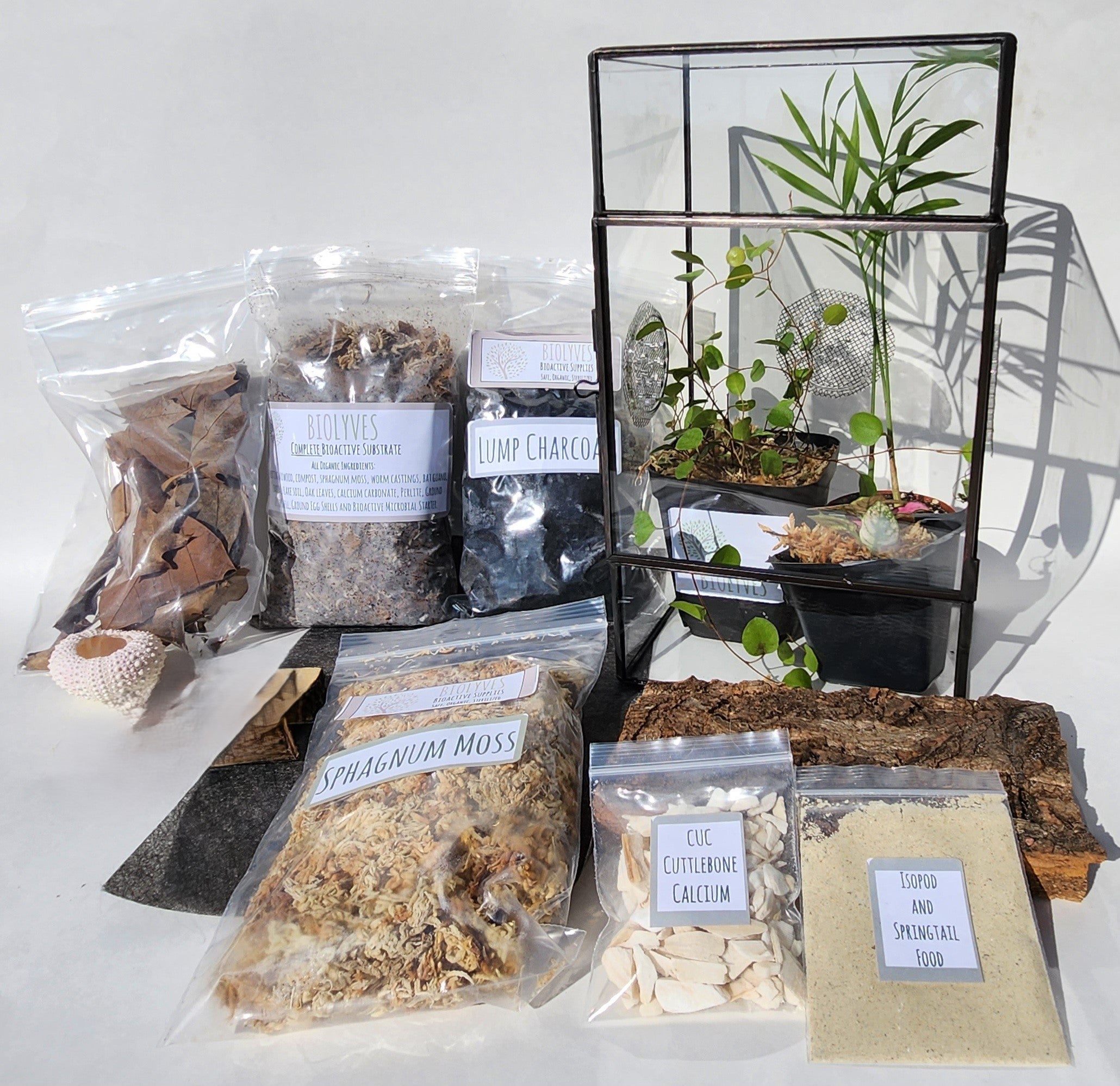 Complete Bioactive Terrarium Kit also includes enclosure, 3 Plants ...