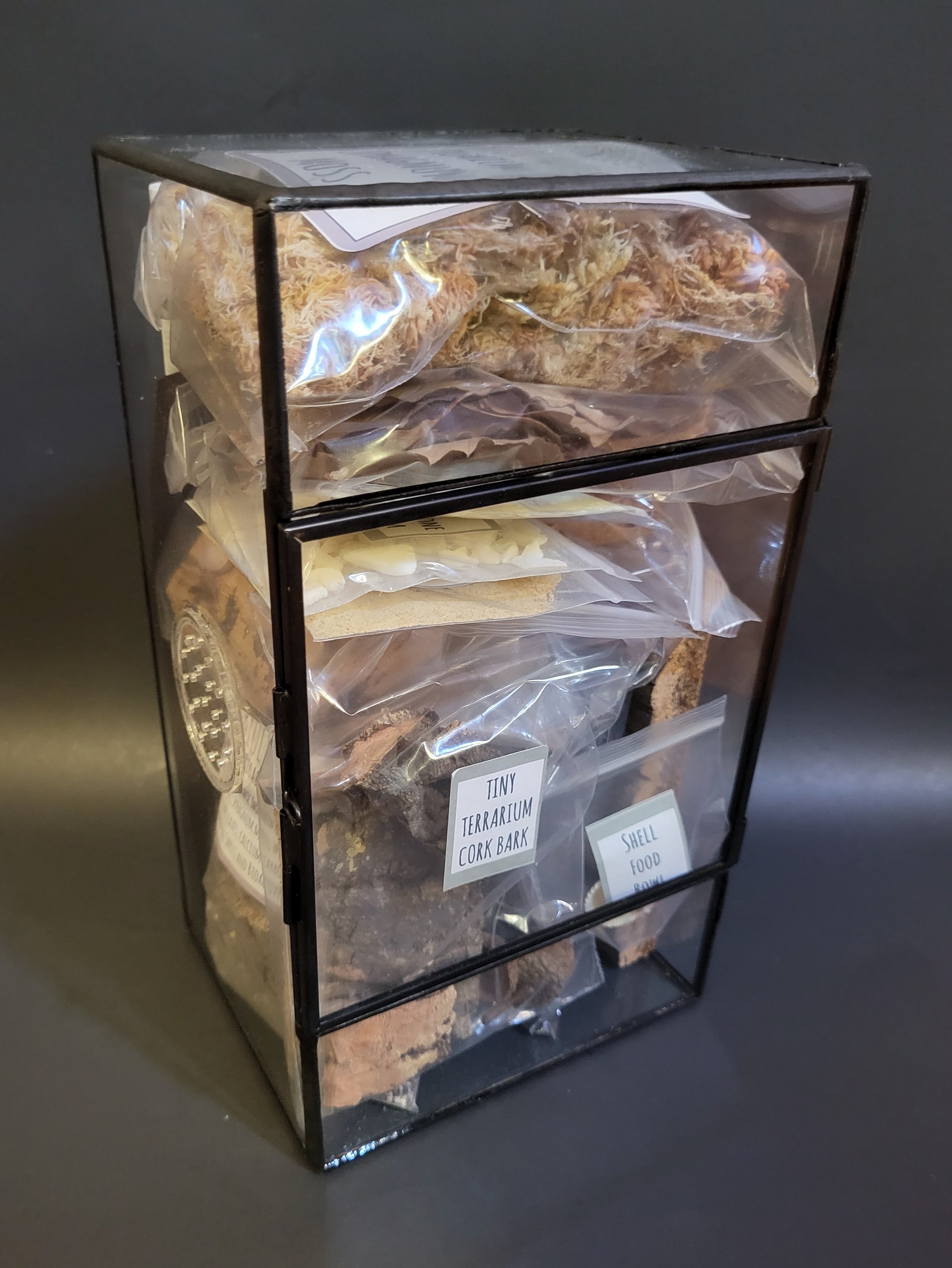 Complete Bioactive Terrarium Kit also includes enclosure, 3 Plants ...